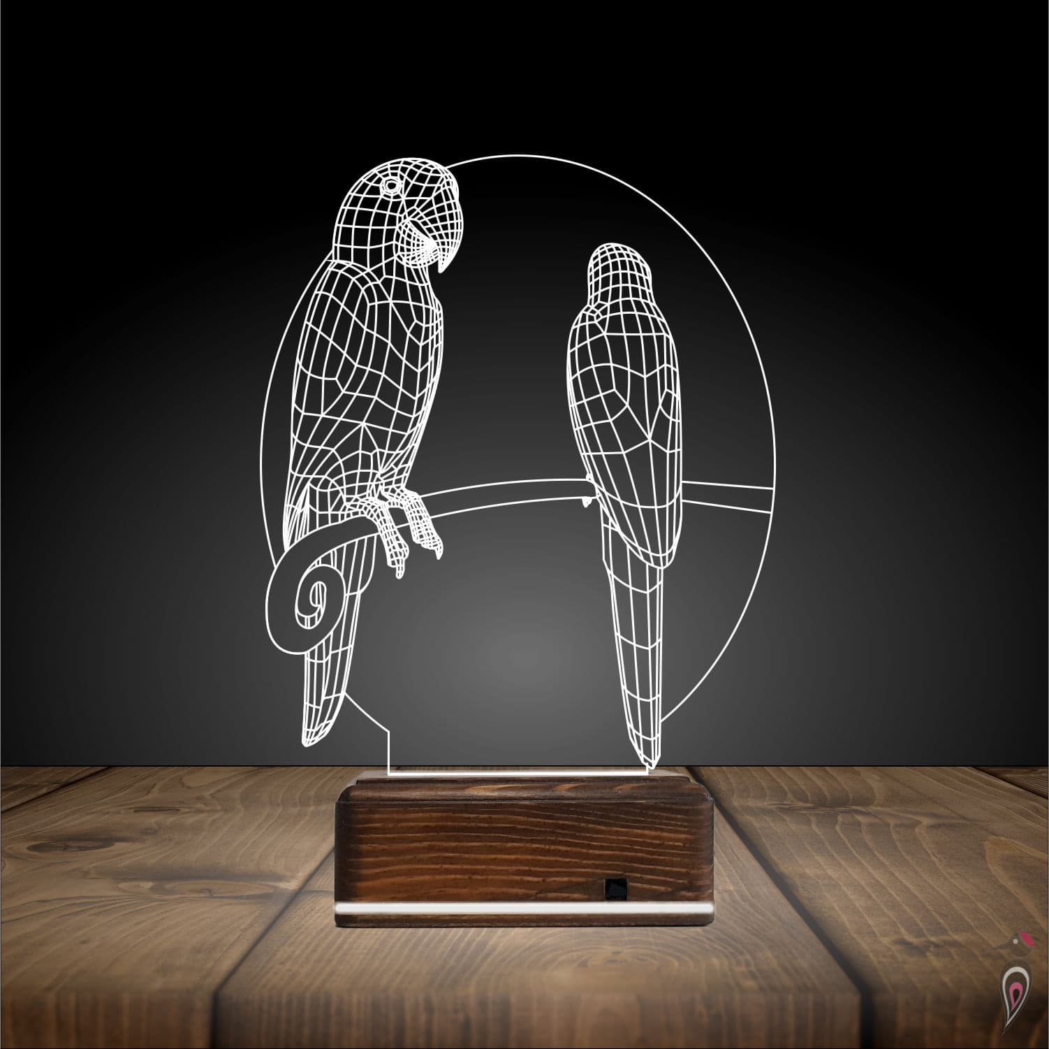 Попугаи — 3D LED Ночник | Подарок влюбленным 3