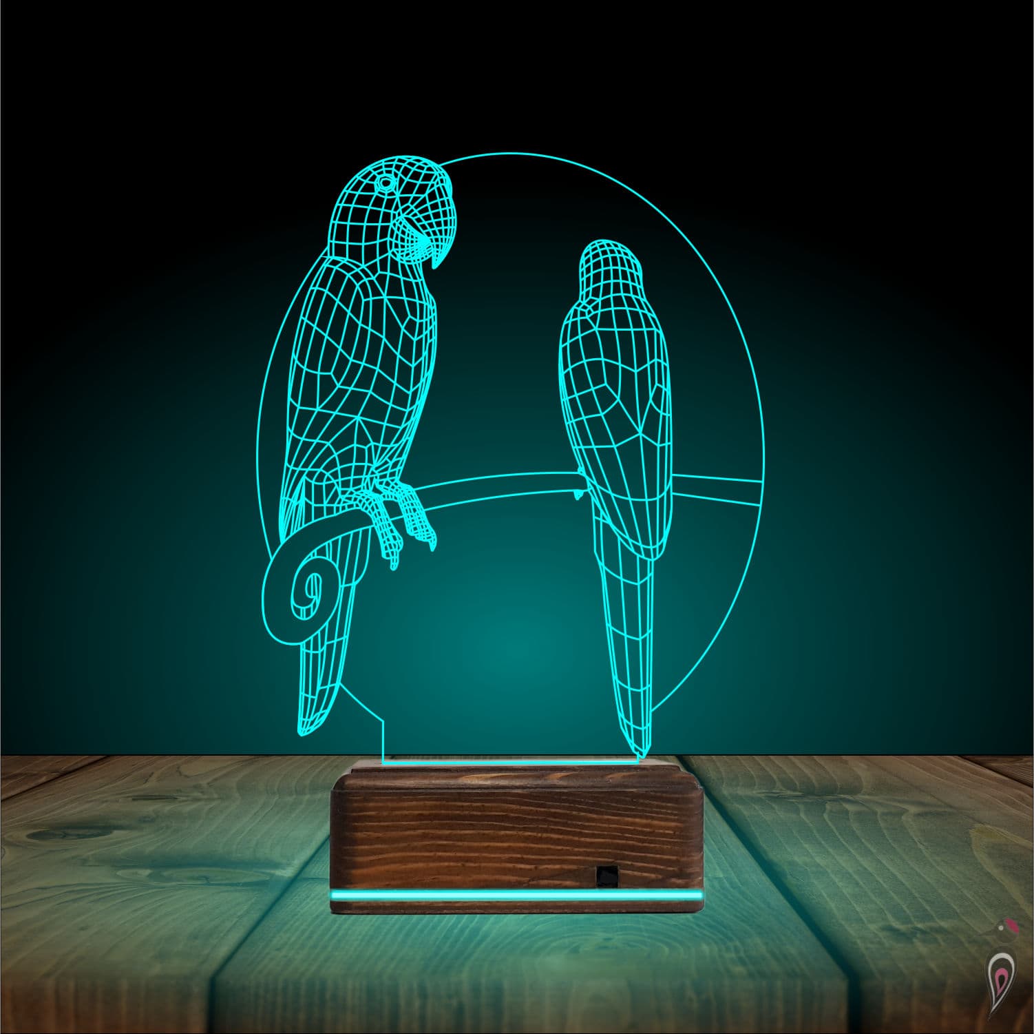 Попугаи — 3D LED Ночник | Подарок влюбленным 4