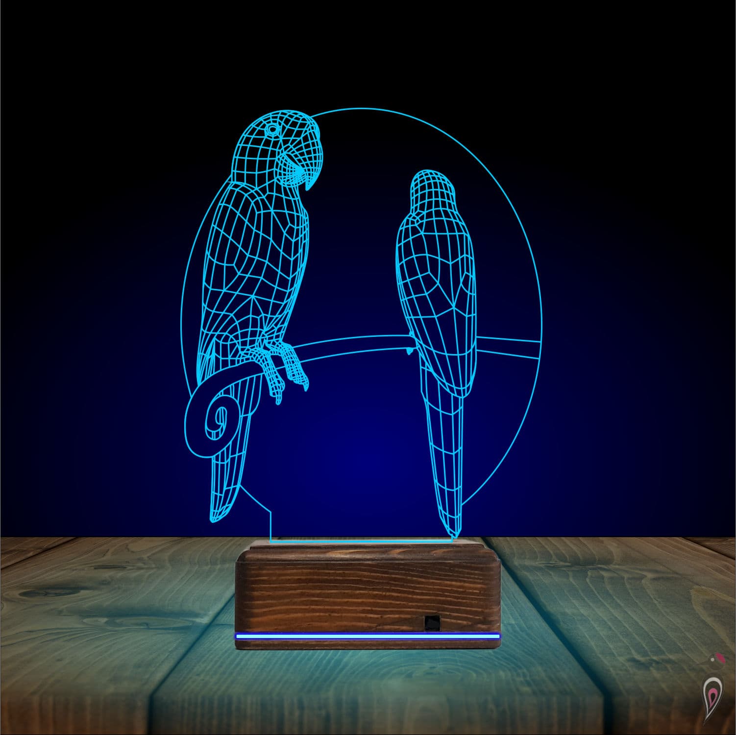 Попугаи — 3D LED Ночник | Подарок влюбленным 10