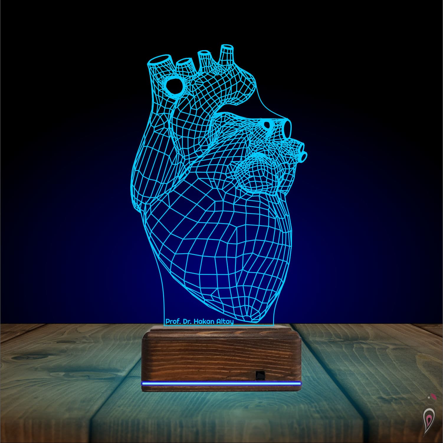 Анатомическое сердце — 3D LED Ночник | Подарок врачу 10