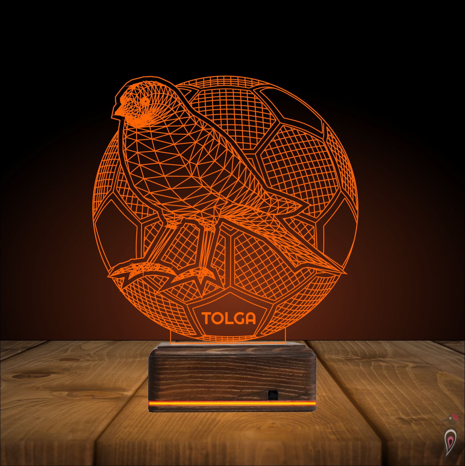 Птица и Футбол с именем — 3D LED Ночник | Подарок мальчику 9