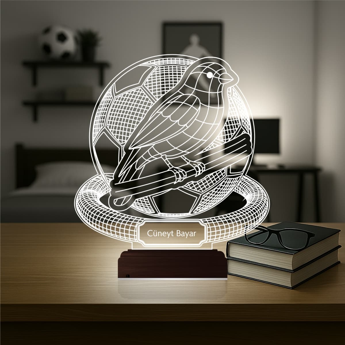 Птица и Футбол 3D Ночник 2