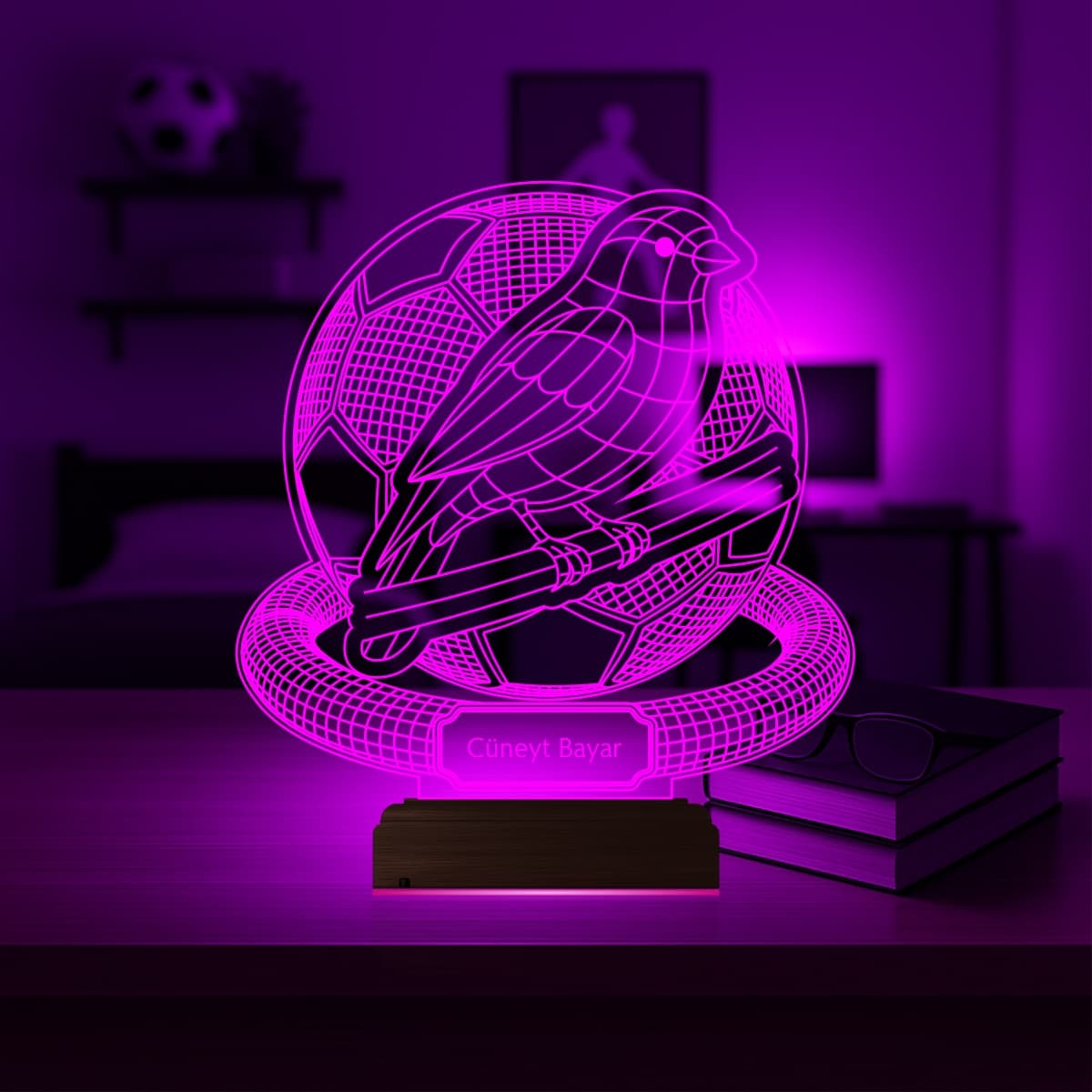 Птица и Футбол 3D Ночник 3