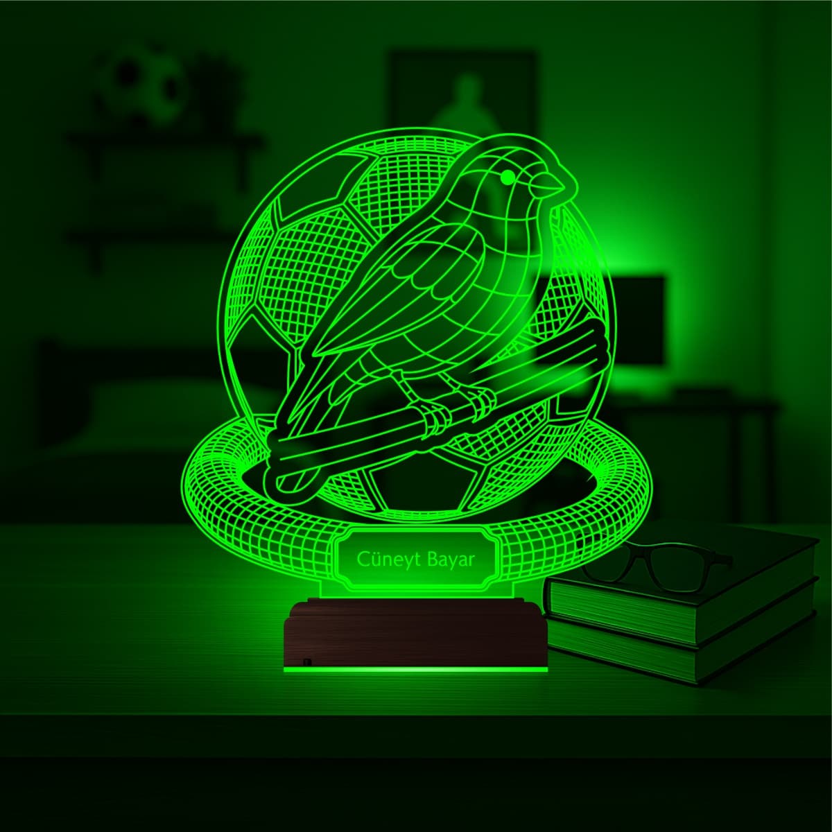 Птица и Футбол 3D Ночник 4