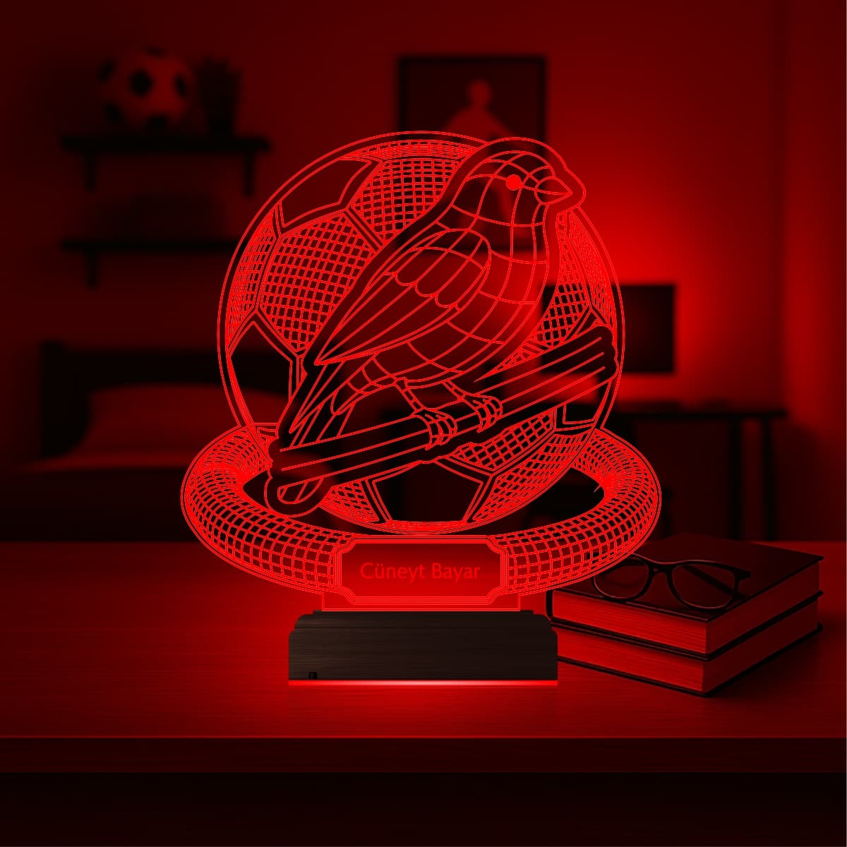 Птица и Футбол 3D Ночник 5