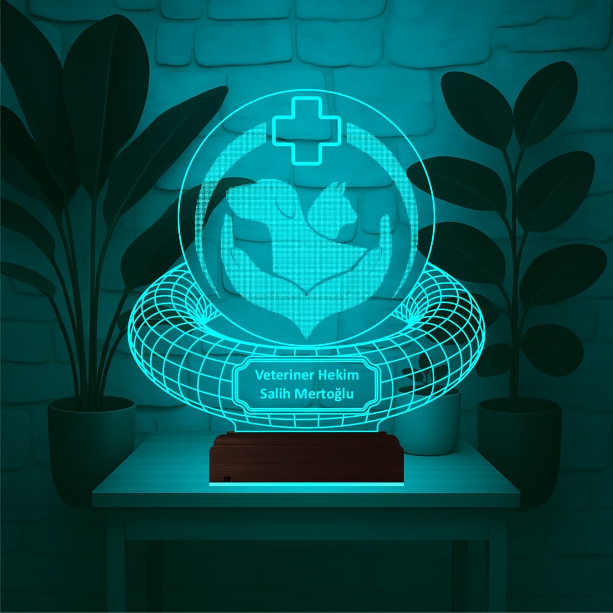 Ветеринар — 3D LED Ночник | Подарок ветеринарному врачу 1