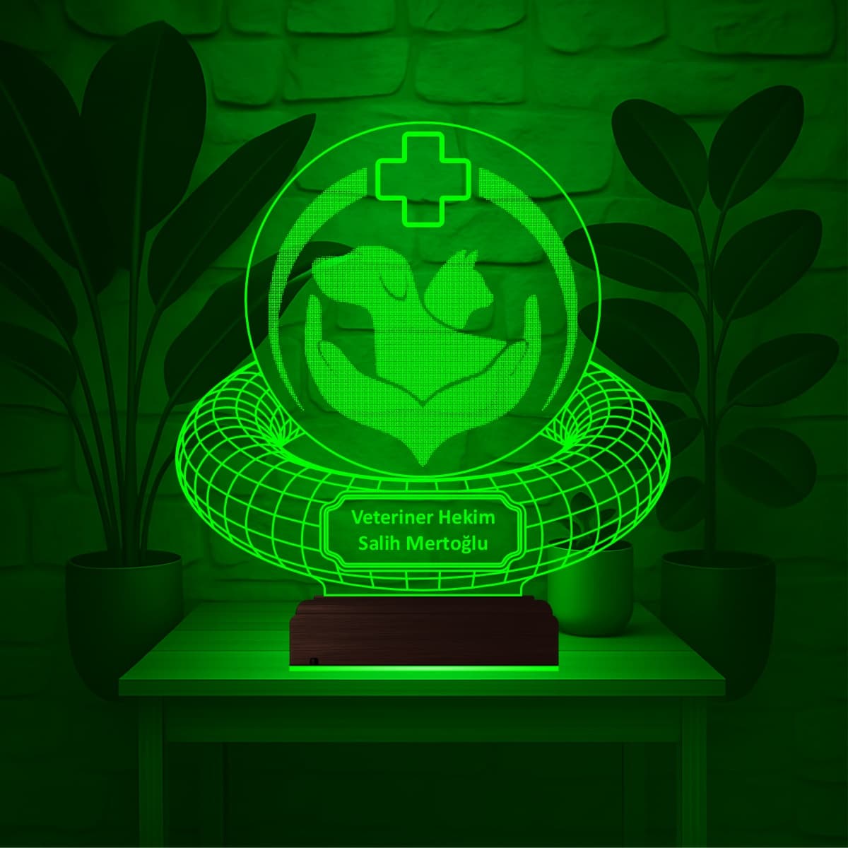Ветеринар — 3D LED Ночник | Подарок ветеринарному врачу 3