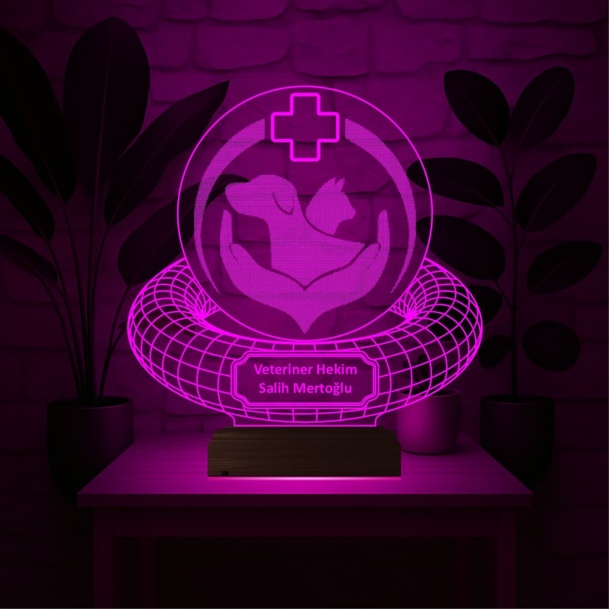 Ветеринар — 3D LED Ночник | Подарок ветеринарному врачу 4