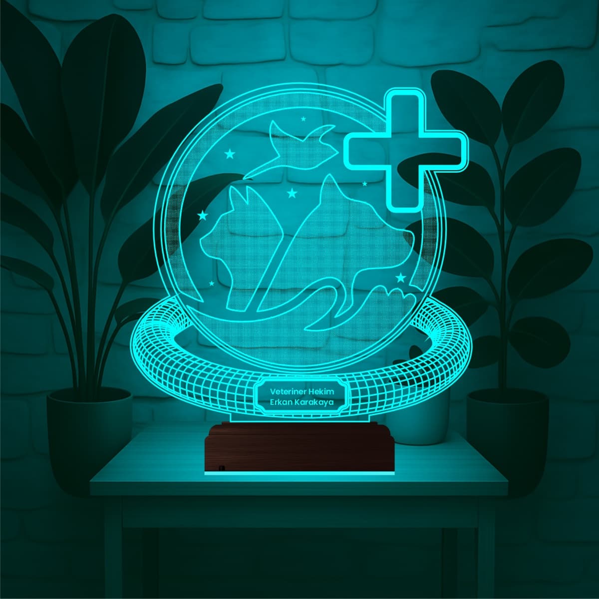 Ветеринар — 3D LED Ночник | Подарок врачу-ветеринару 2