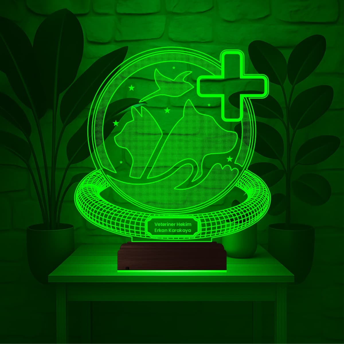 Ветеринар — 3D LED Ночник | Подарок врачу-ветеринару 3