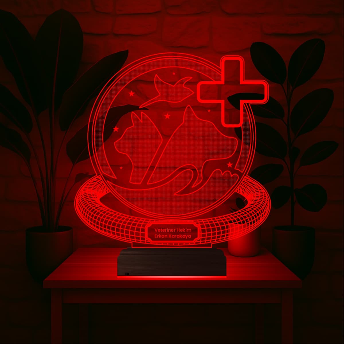 Ветеринар — 3D LED Ночник | Подарок врачу-ветеринару 5