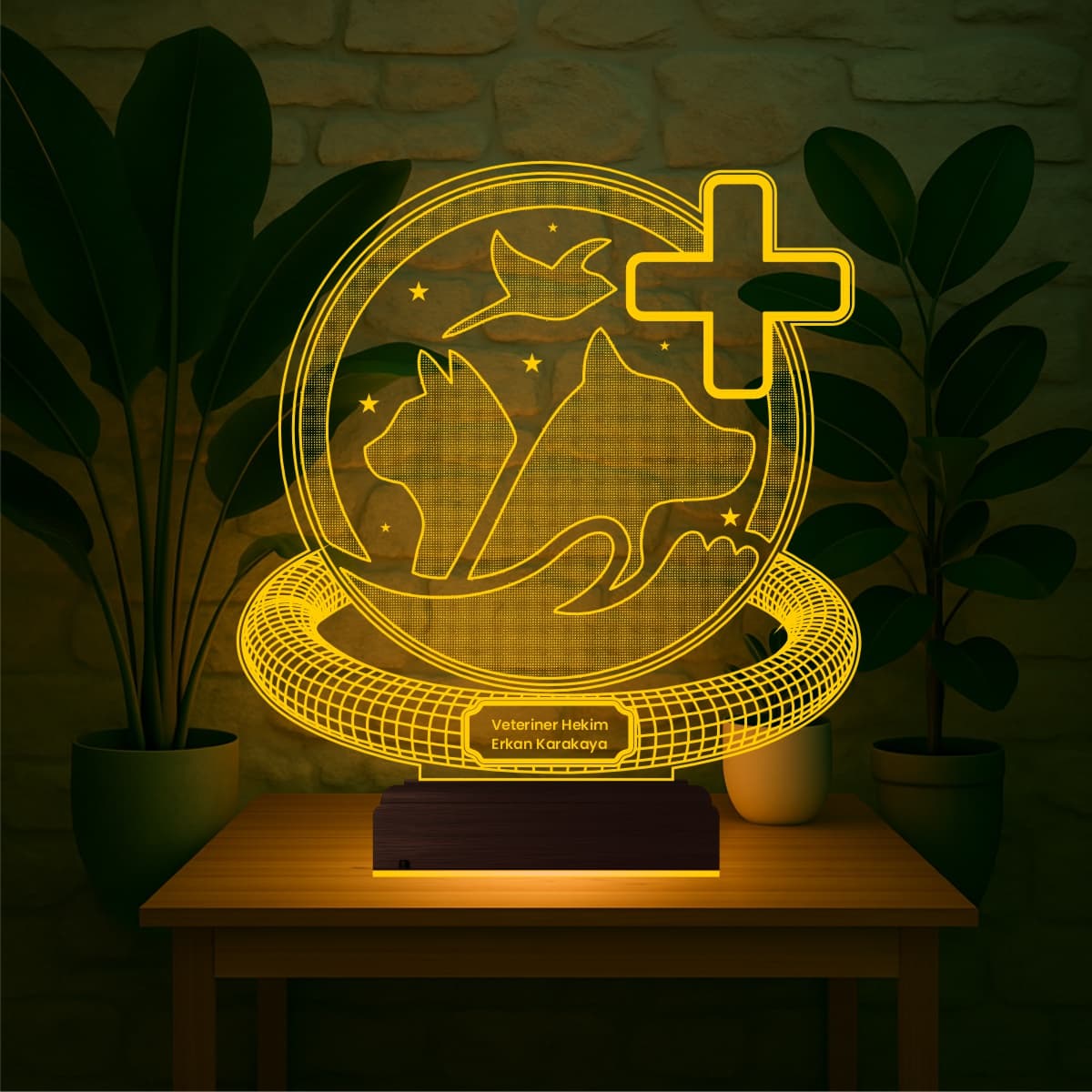 Ветеринар — 3D LED Ночник | Подарок врачу-ветеринару 6